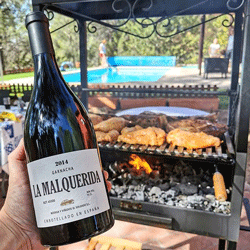 Rượu vang La Malquerida Tây Ban Nha niên vụ 2014 kết hợp với thịt BBQ