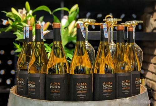 Rượu vang Alma Mora Seclect Reserve Chardonnay